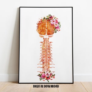Brain and Cervical Art Anatomy Medical Science Watercolor Digital ...