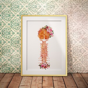 Brain and Cervical Art Anatomy Medical Science Watercolor Digital ...