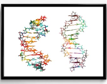 Two DNA, Science, Biology,watercolor print, poster, science art , print, wall decor(350)