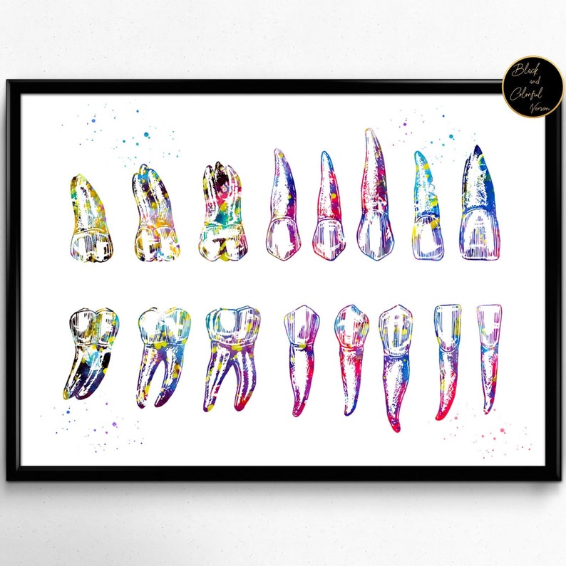 Dental Charts For Sale