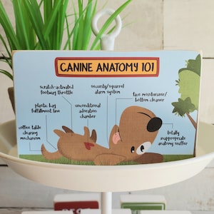 Dog Mini Signs, Dog Decor, Dog Tiered Tray Decor, Dog Shelf Decor, Dog Lover Gifts