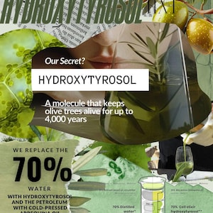 Hydroxytyrosol Olive Tree People/Oliveda/Olive Rose/LA Dope Template