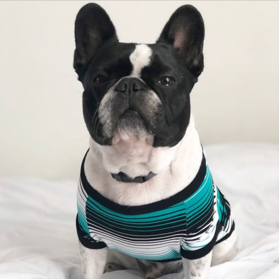 Homerun Pup Shirt Green Stripes clothes for French Bulldog, frenchie clothing