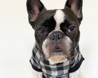 Homerun Pup Shirt - Black and Grey Plaid  (clothes for French Bulldog, frenchie clothing)