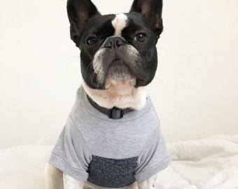 Color Block Shirt - Grey + Blue  (clothes for french bulldogs) dog sweater, Dog clothes, Pet clothing