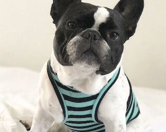 Beachy Bro Tank Top - Green Stripes (clothes for french bulldog, french bulldog clothes, french bulldog clothing, frenchie clothing)