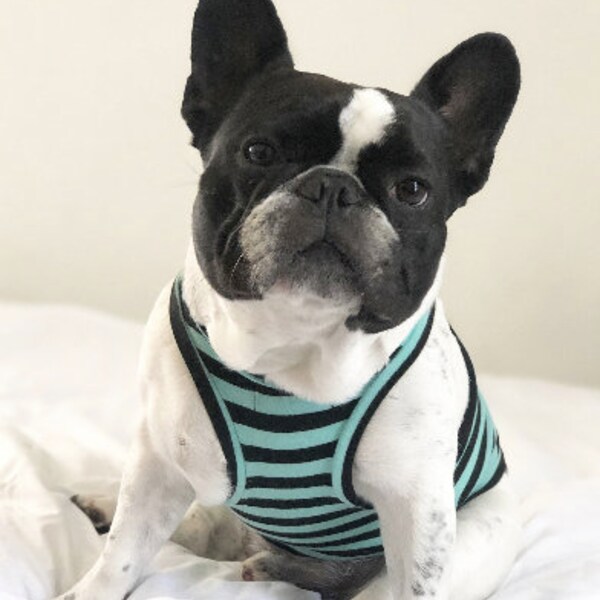 French Bulldog Clothes for Dogs Etsy