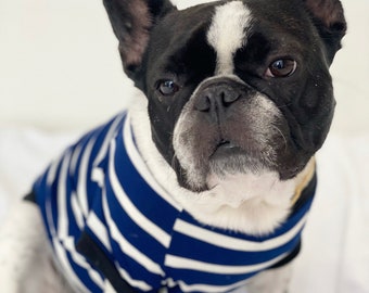 Puede incluir: Un bulldog francés con una camiseta a rayas azules y blancas. El perro tiene un pelaje blanco y negro con una mancha blanca en la frente. La camiseta tiene un diseño náutico clásico.