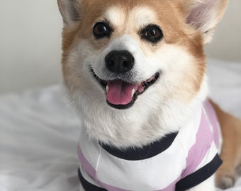 Homerun Pup Shirt - Blush Pink Stripes  (clothes for corgis, corgi dog clothing)