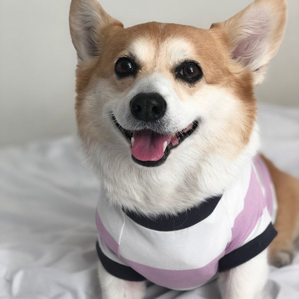 Homerun Pup Shirt - Blush Pink Stripes  (clothes for corgis, corgi dog clothing)