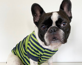 Homerun Pup Shirt - Green and Grey  (clothes for French Bulldog, frenchie clothing)