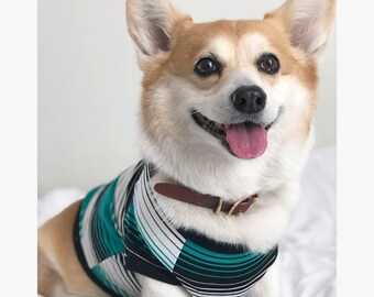 Homerun Pup Shirt - Green Stripes  (clothes for corgis, corgi dog clothing)