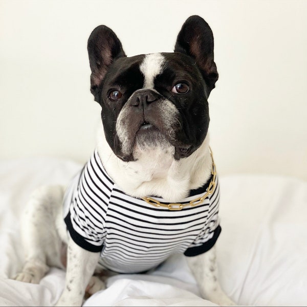 Homerun Pup Shirt - Black and White  (clothes for French Bulldog, frenchie clothing)