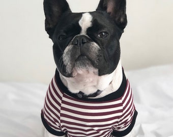 Homerun Pup Shirt - Crimson Stripes  (clothes for French Bulldog, frenchie clothing)