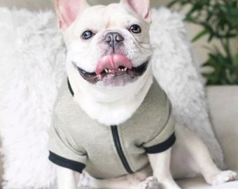 Members Only Jacket - Gold (clothes for French Bulldog, frenchie clothing, dog jacket)