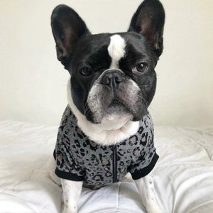 Zip Up Jacket - Leopard (clothes for French Bulldog, frenchie clothing, dog jacket)