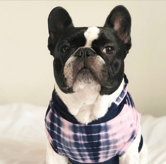 French bulldog jackets uk online