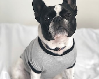 Homerun Pup Shirt - Light Grey  (clothes for French Bulldog, frenchie clothing)