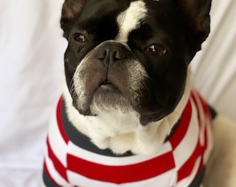 Homerun Pup Shirt - Red and White  (clothes for French Bulldog, frenchie clothing)