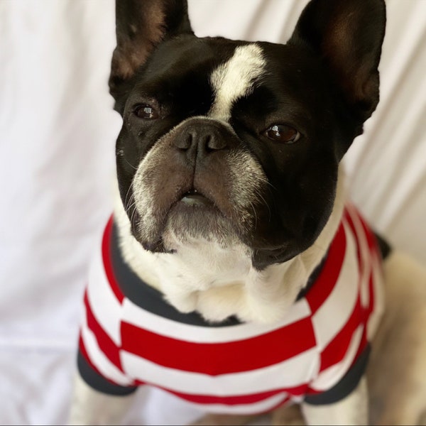 Homerun Pup Shirt - Red and White  (clothes for French Bulldog, frenchie clothing)