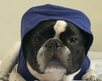 Felpa con cappuccio per cani - Athletic Blue (abbigliamento bulldog francese, abbigliamento bulldog francese, abbigliamento bulldog francese, abbigliamento frenchie)
