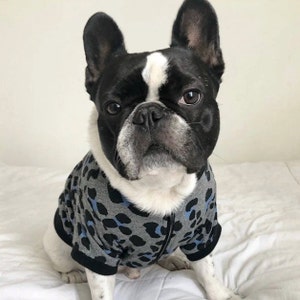 以下が含まれることがあります： グレーとブルーのレオパード柄の犬用セーターを着た黒と白のフレンチブルドッグ