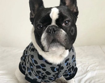 Zip Up Jacket - Leopard Blue (clothes for French Bulldog, frenchie clothing, dog jacket)