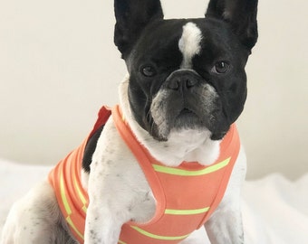 Beachy Bro Tank Top - Neon Orange (clothes for french bulldog, french bulldog clothes, french bulldog clothing, frenchie clothing, frenchie