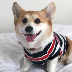 Homerun Pup Shirt - Blue Stripes  (clothes for corgis, corgi dog clothing)