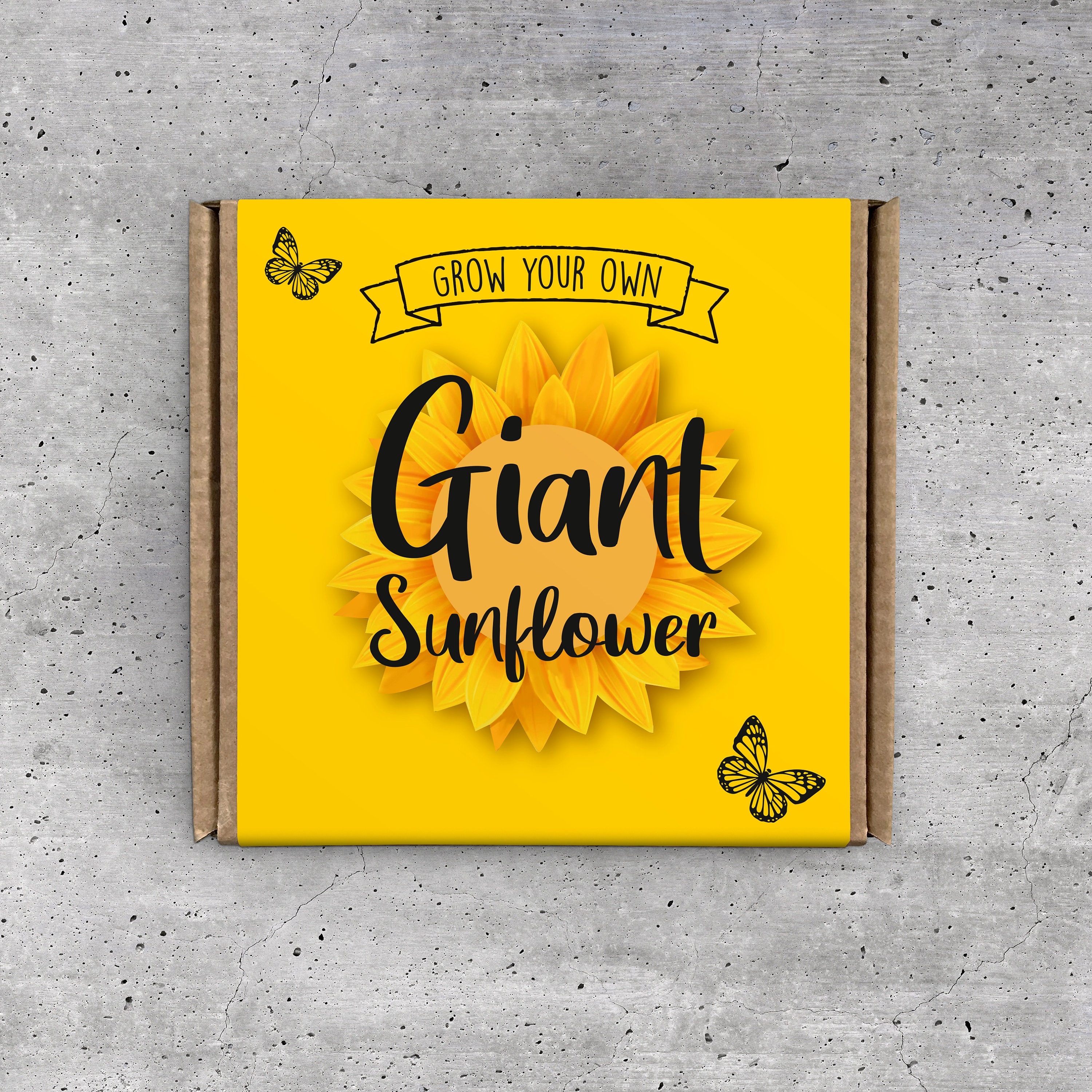 Grow Your Own Sunflower Plant Kit. Perfect for kids mothers Etsy