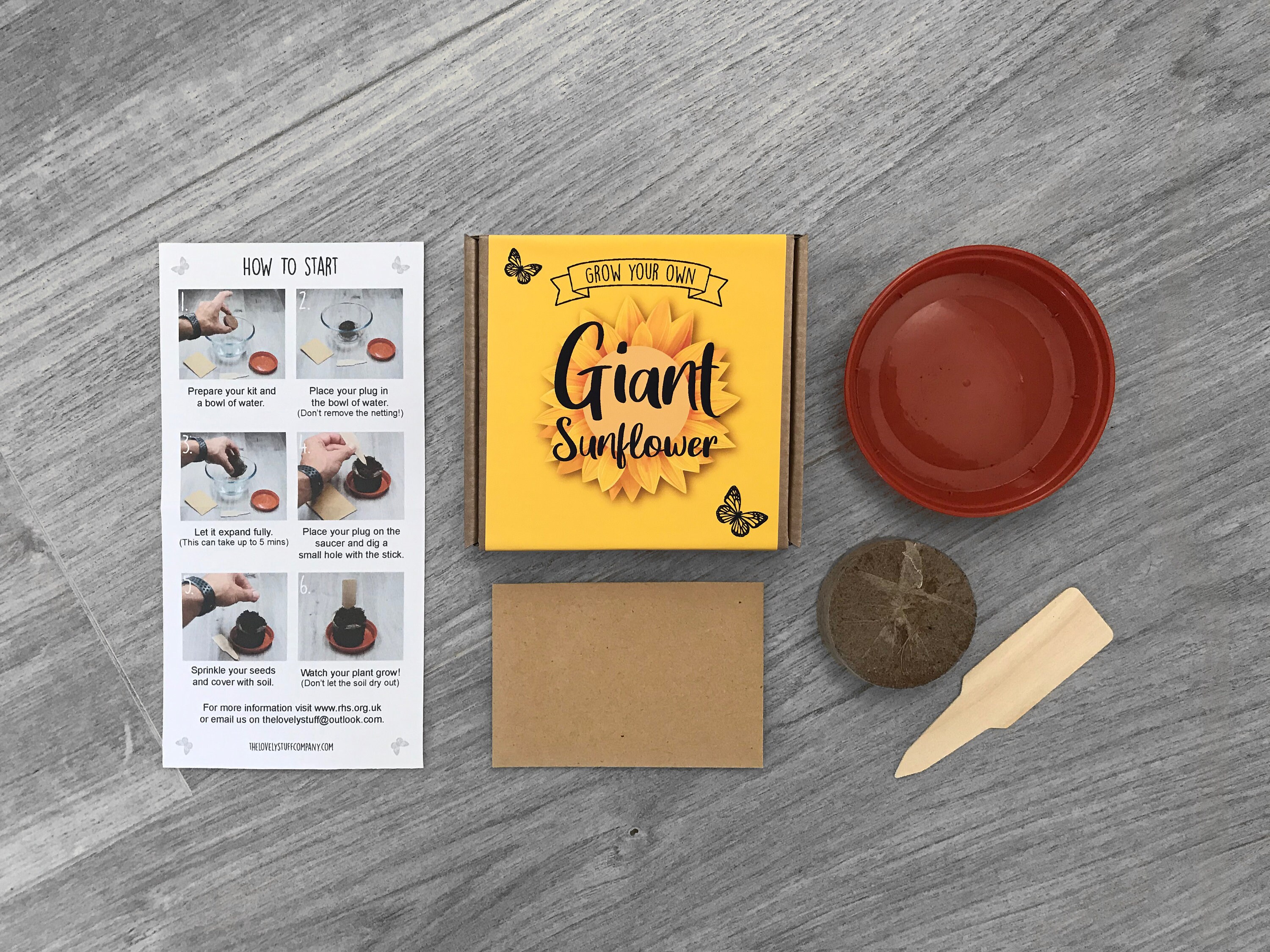 Grow Your Own Sunflower Plant Kit. Perfect for kids mothers Etsy