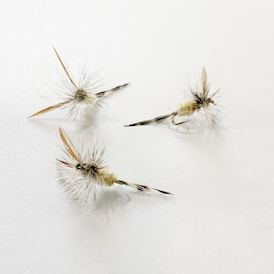May include: Three fly fishing lures with brown and white feathers. The lures are tied on hooks and are designed to mimic insects.