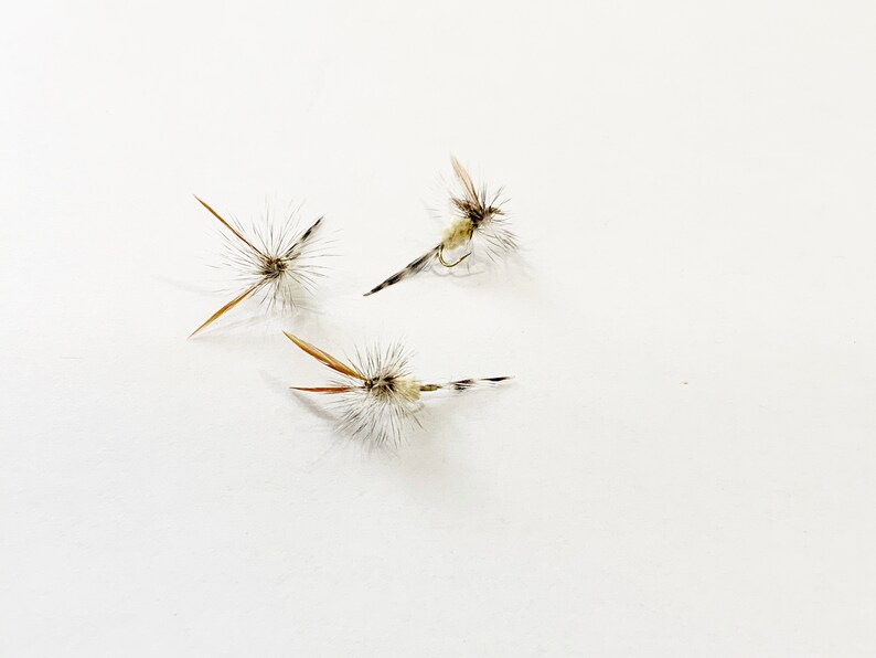 Mosse Artificiali Adams Dry Fly - Confezione Da 6, Blue Wing Olive, Made In USA