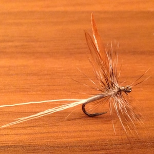 May include: A brown and white fly fishing lure with a white tail and brown wings.