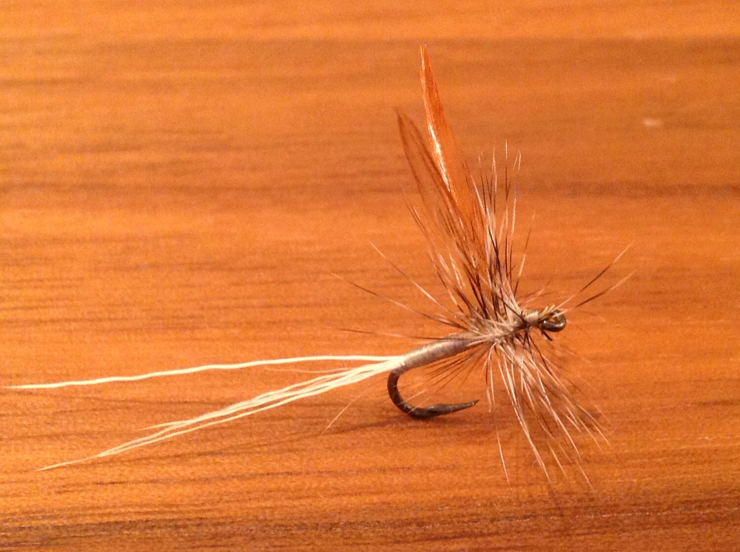 Fly Fishing Flies Three 3 Adams Dry Flies Etsy