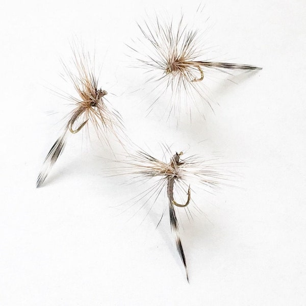 Fly Fishing Flies: Three (3) Red Quill Adams Dry Fly Variant with Grizzly hackle tip tail