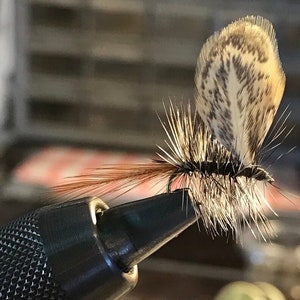 Fly Fishing Flies: Four (4) Griffiths Moth Dry Flies