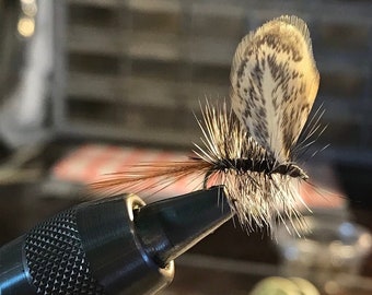 Fly Fishing Flies: Four (4) Griffiths Moth Dry Flies