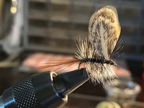 Fly Fishing Flies: Four 4 Griffiths Moth Dry Flies 