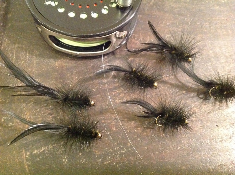 download black wooly worms download black wooly worms