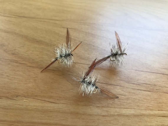 Buy Fly Fishing Flies: Three 3 Red Wing Quill Dry Flies Online in