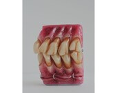 Teeth lighter (hand sculpted) with staples