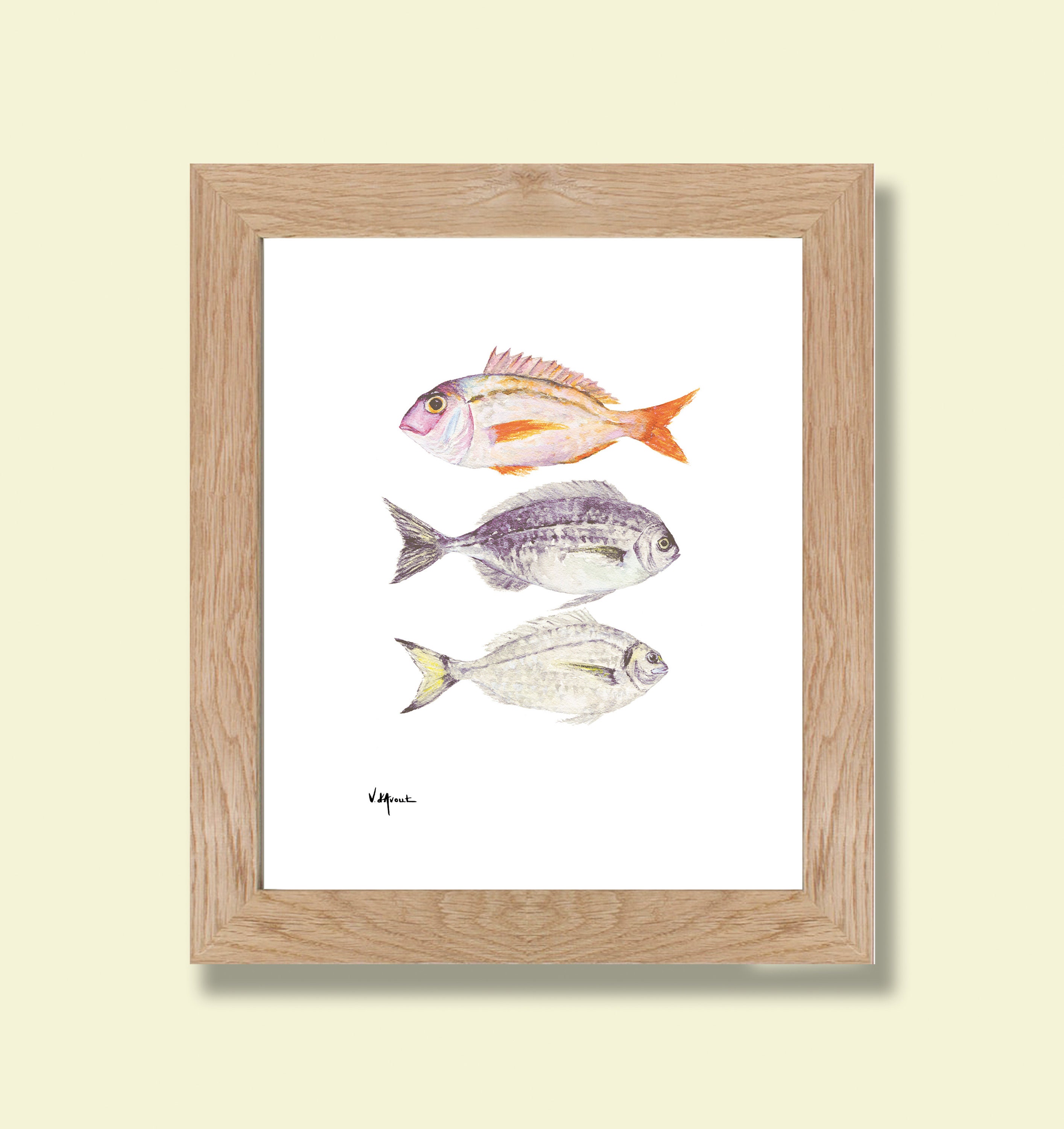 Aquarelle Daurades, Impression, Peinture, Art Print, Dessin Poisson, Dorade, Bord de Mer, Plage, Été