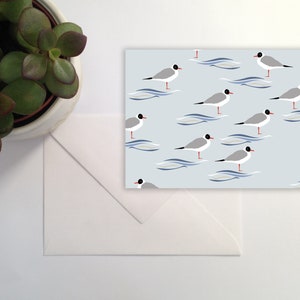 Carte oiseaux de mer mouette