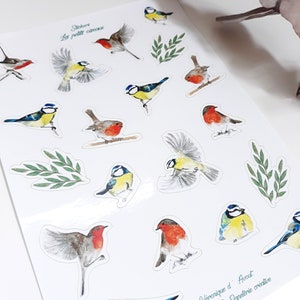 Planche de stickers petits oiseaux
