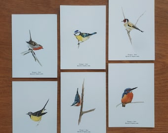 Lot de cartes de vœux simples oiseaux à choisir