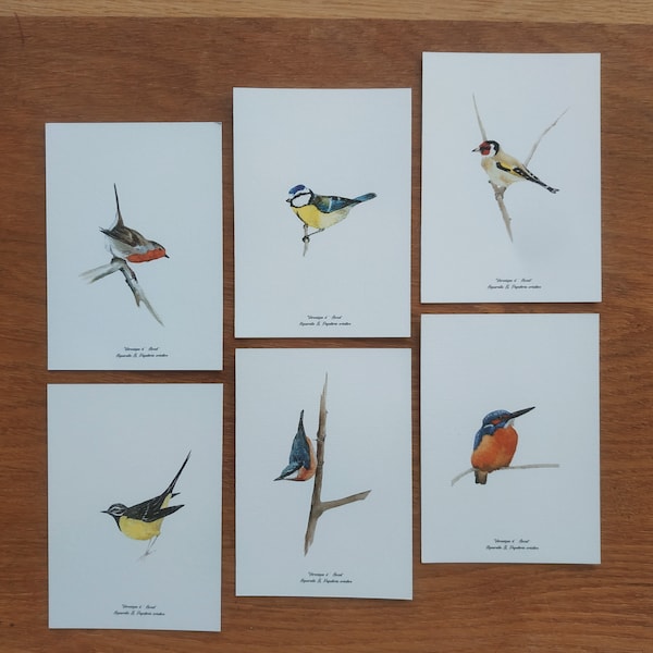 Lot de cartes de vœux simples oiseaux à choisir