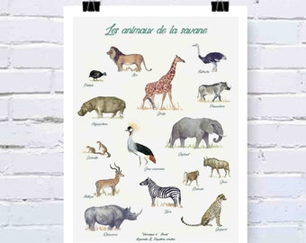 Affiche les animaux de la savane type deyrolle, décoration murale