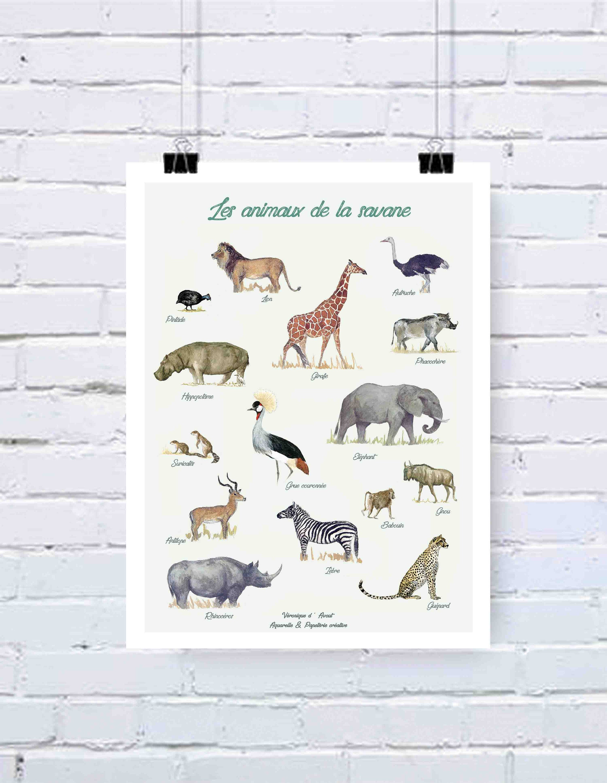 Affiche Les Animaux de La Savane Type Deyrolle, Décoration Murale