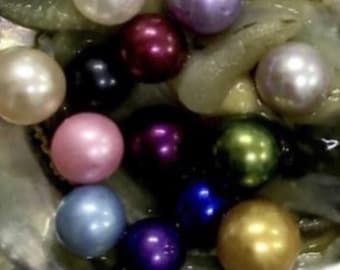 Real oysters with real pearls inside